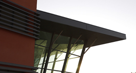 CATREPILLAR - BARQUINHA